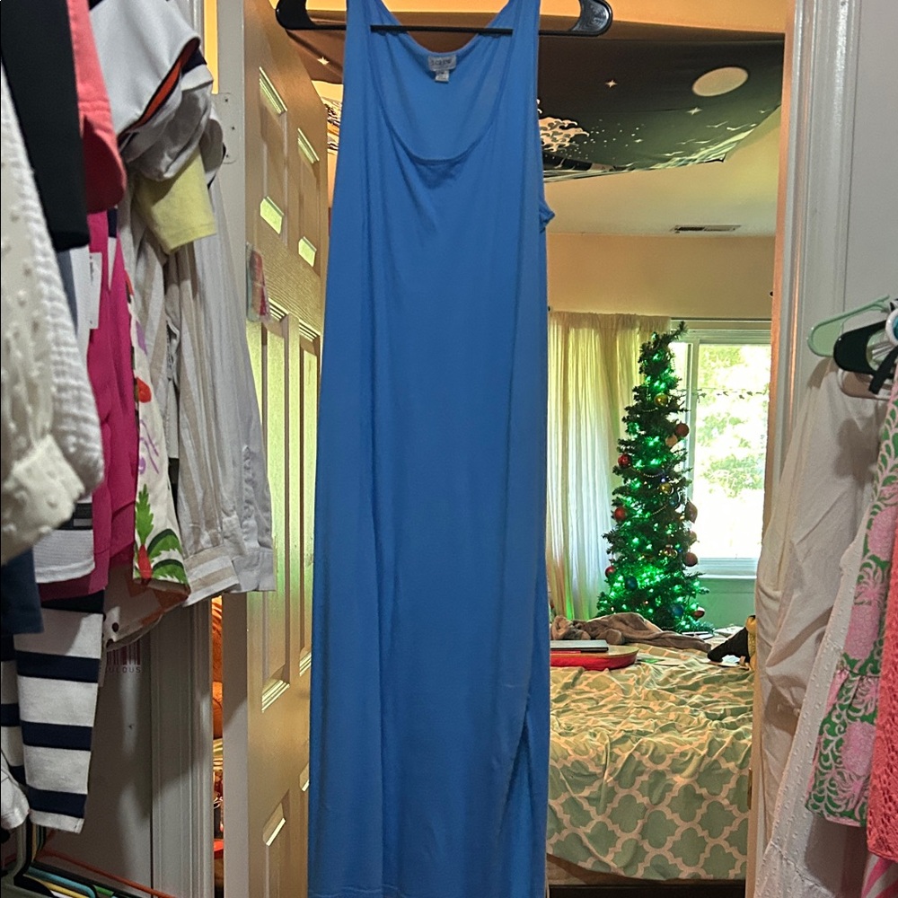 ‼️SALE‼️ J Crew Blue sleeveless maxi dress